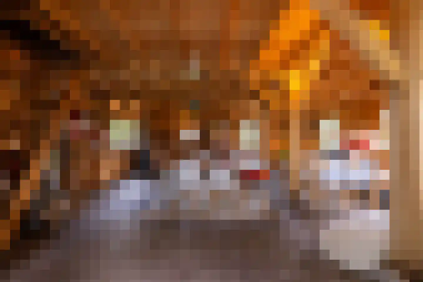Hommelstraat 3 Empe thumbnail 54