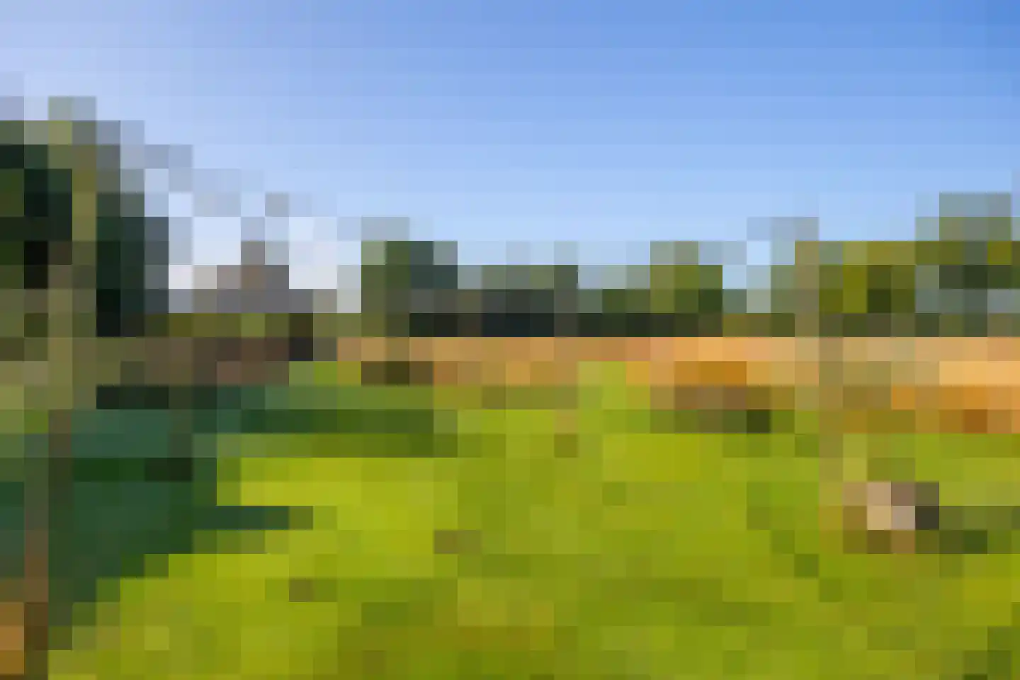 Hommelstraat 3 Empe thumbnail 57