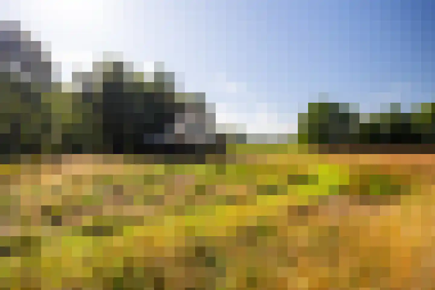 Hommelstraat 3 Empe thumbnail 59