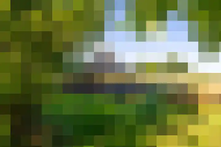 Hommelstraat 3 Empe thumbnail 60