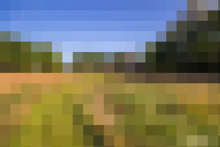 Hommelstraat 3 Empe thumbnail 61