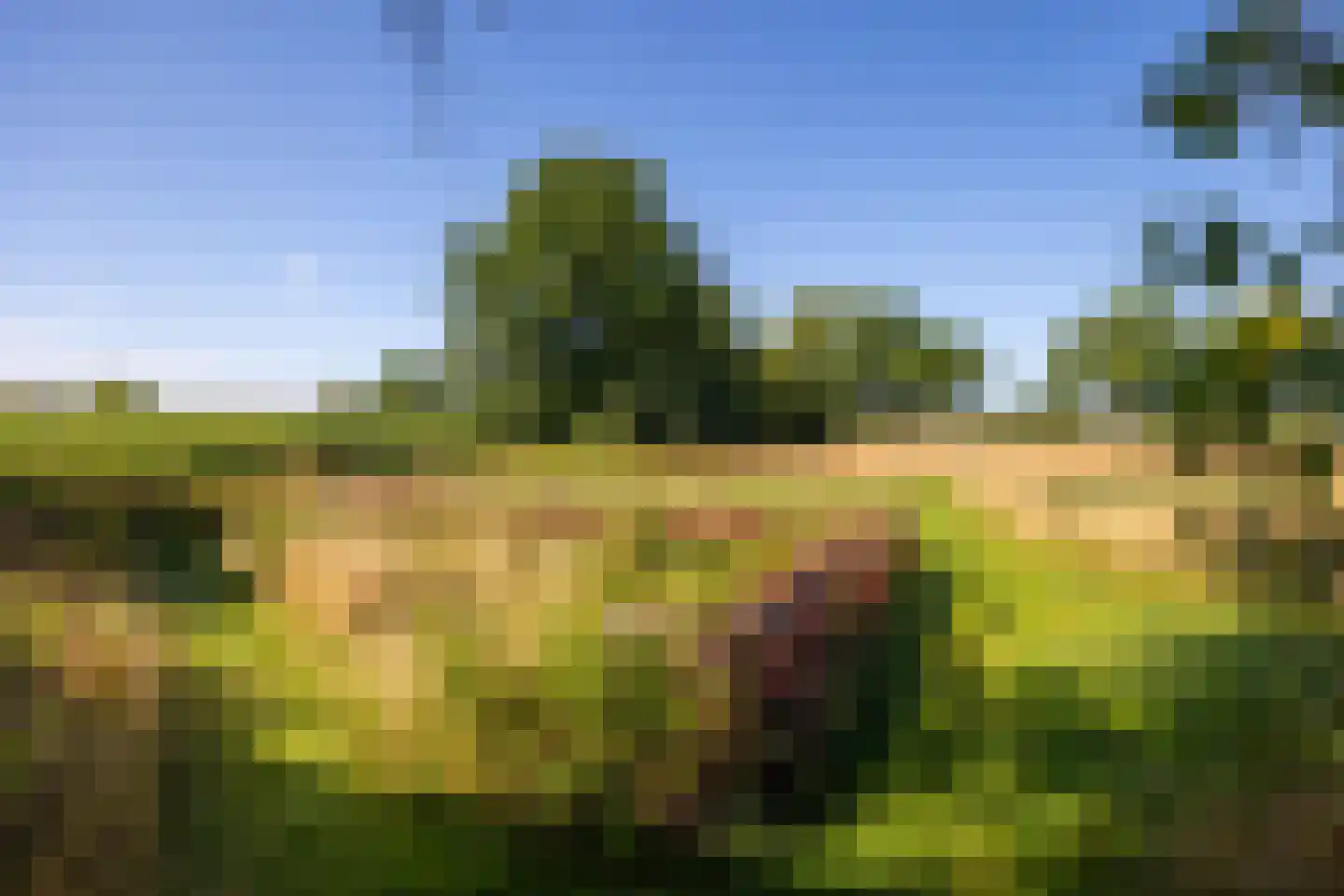 Hommelstraat 3 Empe thumbnail 63