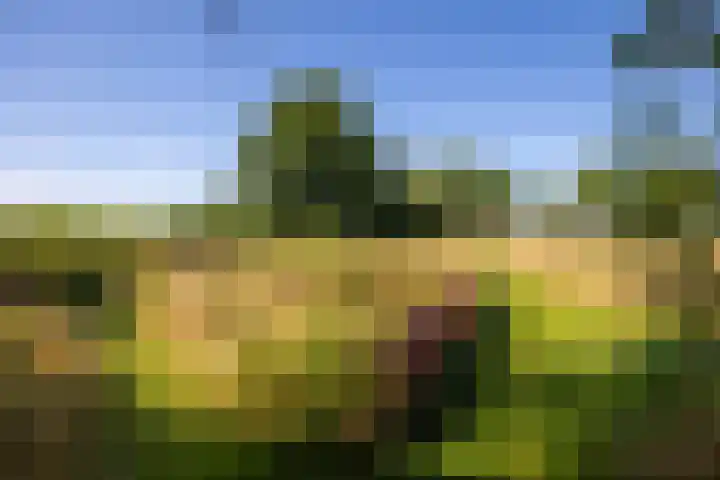 Hommelstraat 3 Empe thumbnail 63