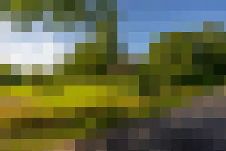 Hommelstraat 3 Empe thumbnail 68