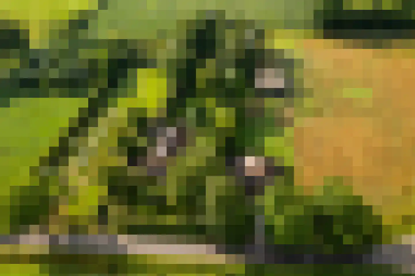 Hommelstraat 3 Empe thumbnail 69