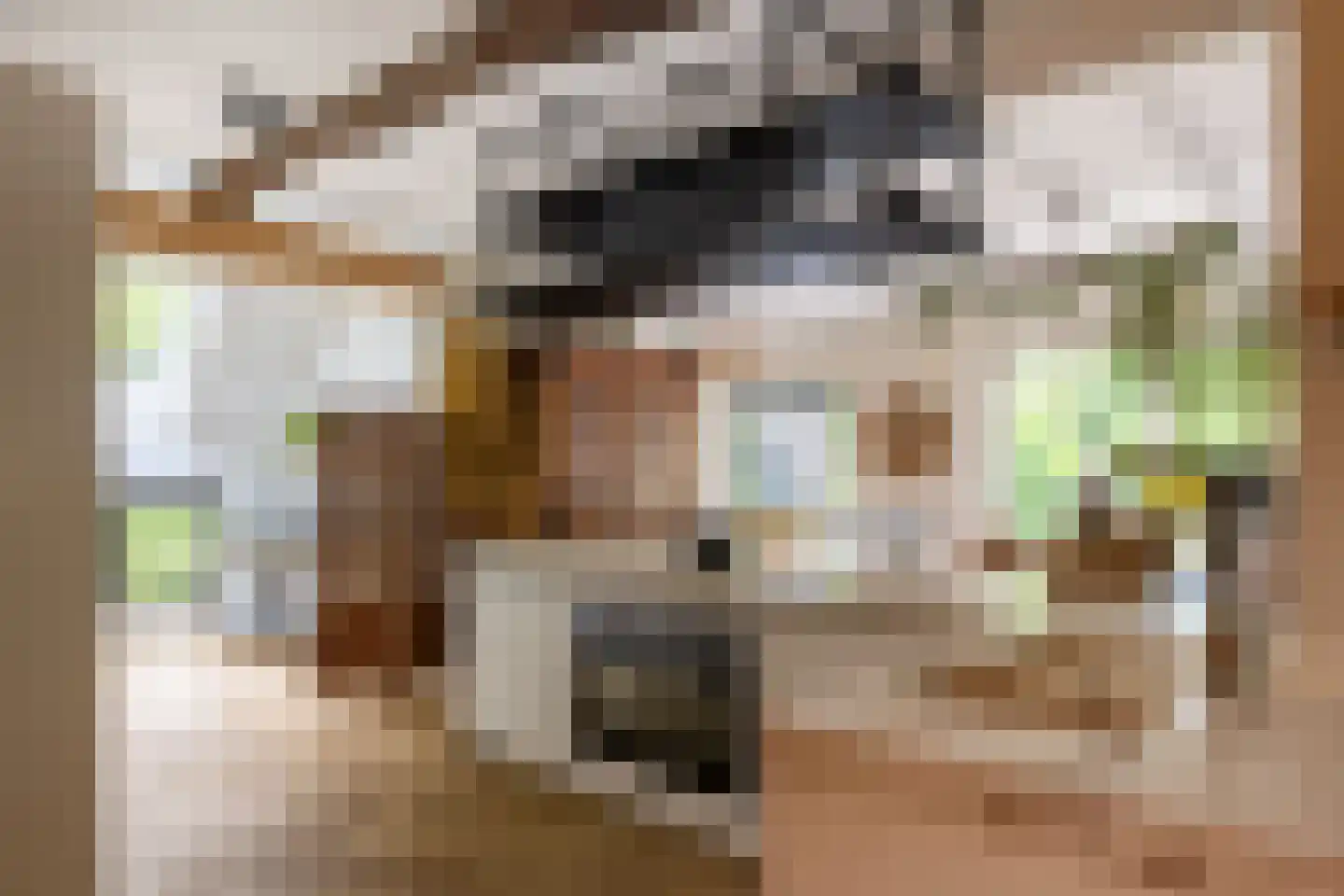 Hommelstraat 3 Empe thumbnail 7
