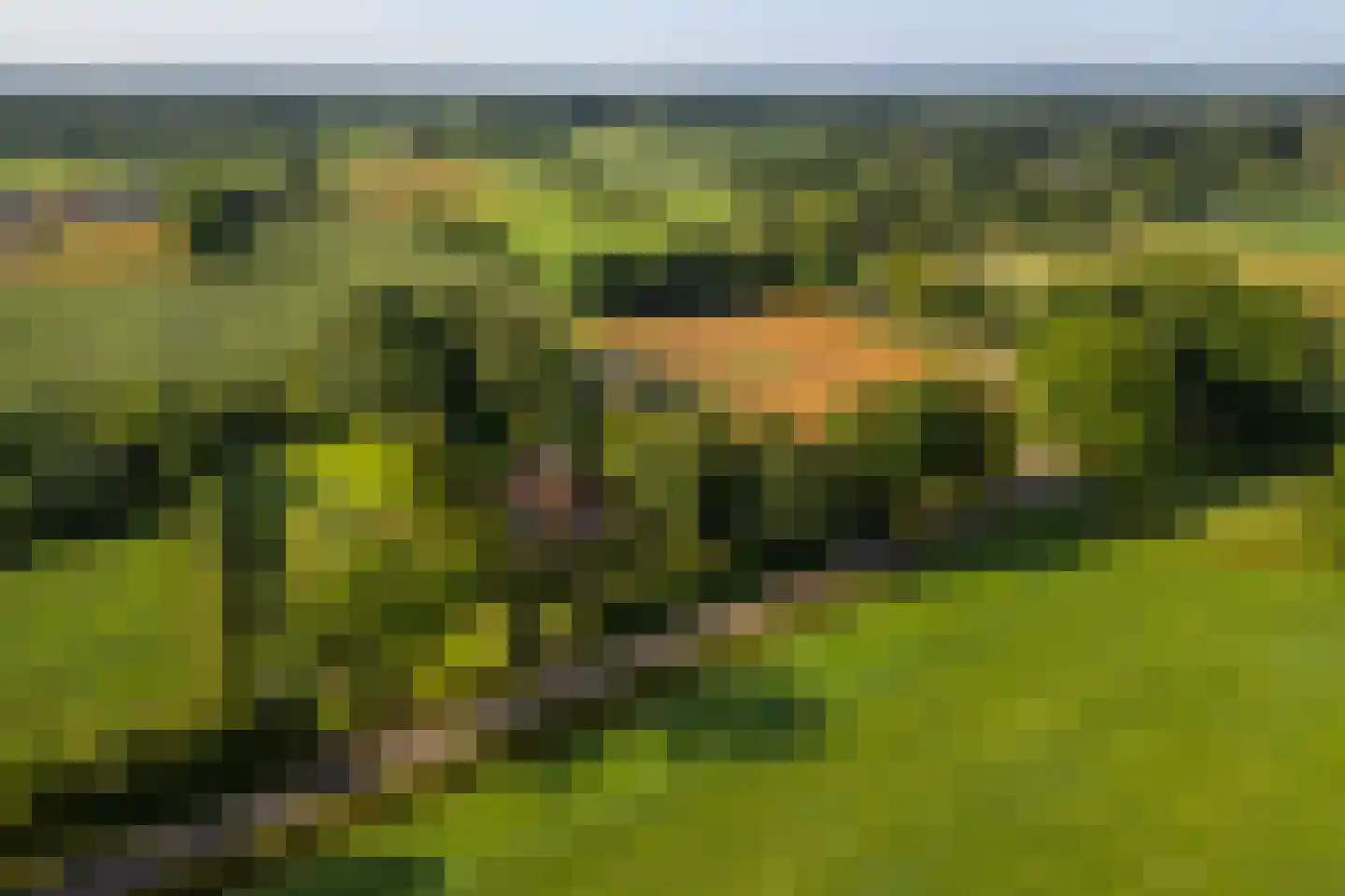 Hommelstraat 3 Empe thumbnail 70