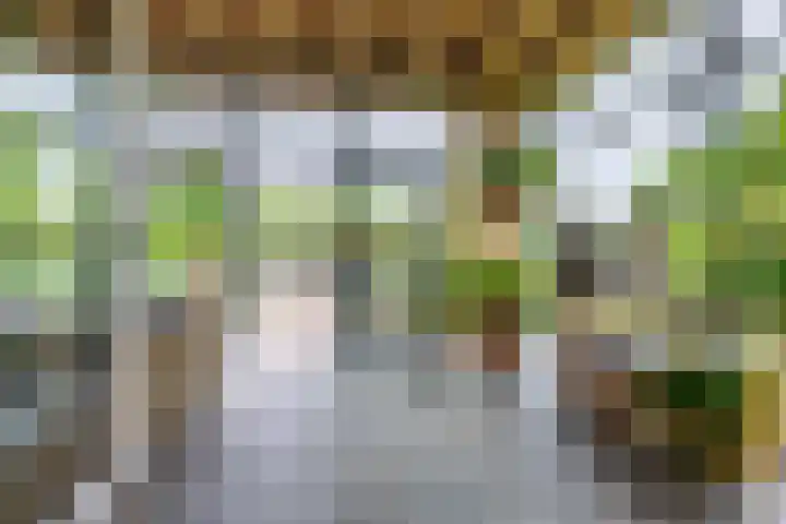 Hommelstraat 4 Beuningen Gld thumbnail 15