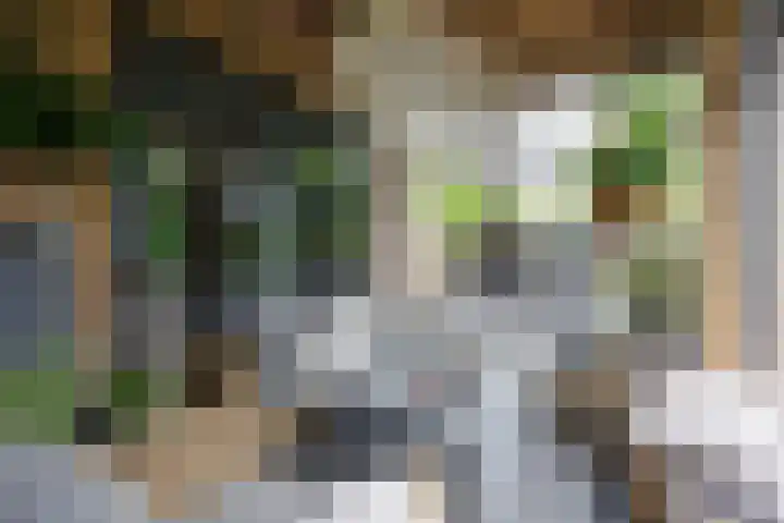 Hommelstraat 4 Beuningen Gld thumbnail 17