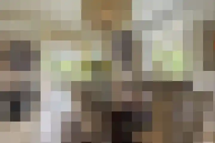 Hommelstraat 4 Beuningen Gld thumbnail 7