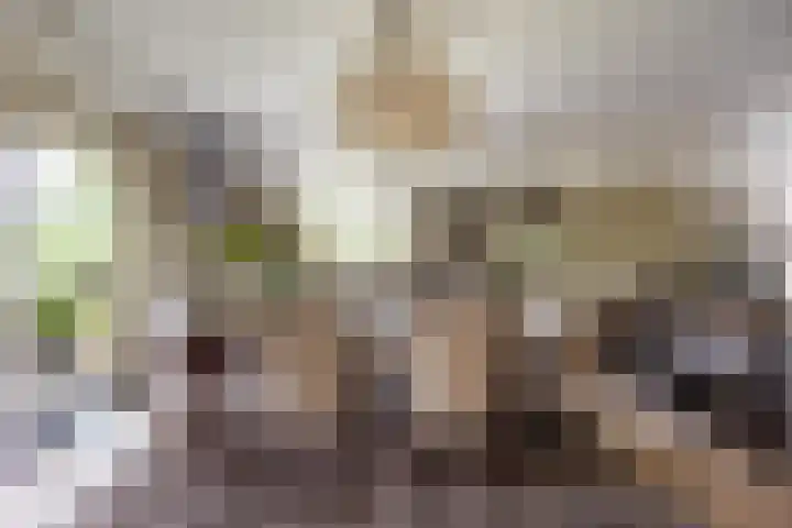 Hommelstraat 4 Beuningen Gld thumbnail 8