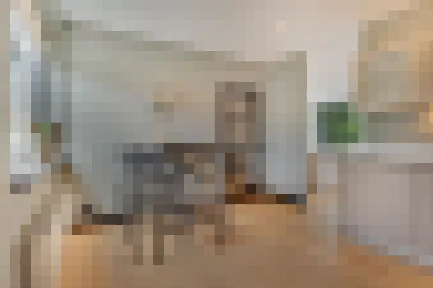 Hommelstraat 50 1 Arnhem thumbnail 13