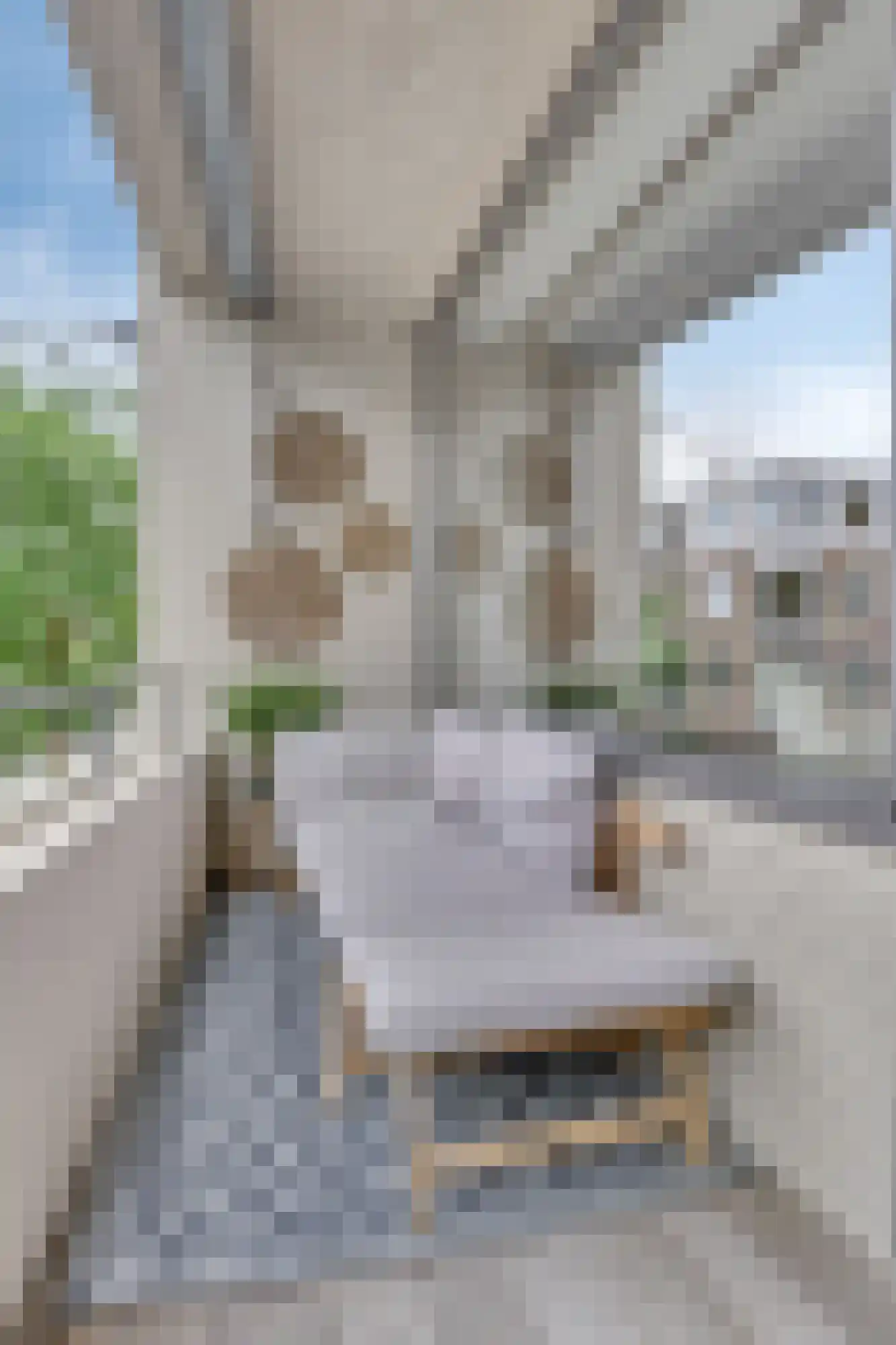 Hommelstraat 50 1 Arnhem thumbnail 34