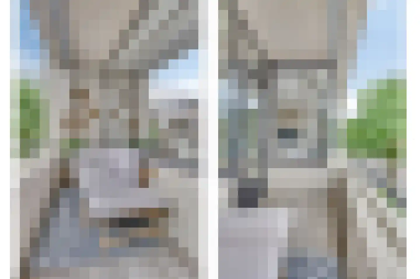 Hommelstraat 50 1 Arnhem thumbnail 36