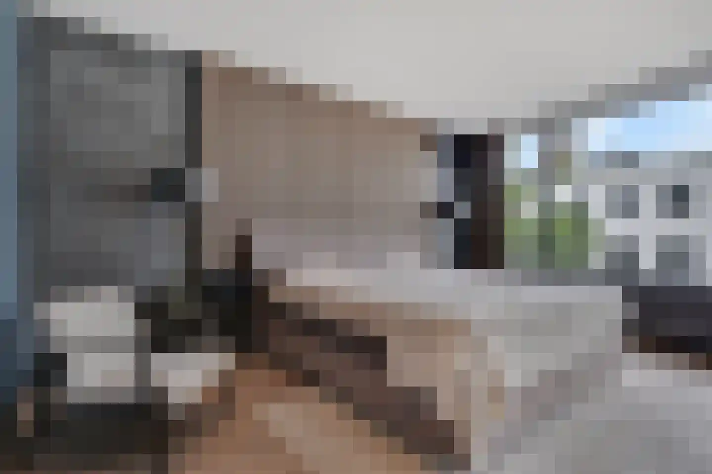 Hommelstraat 50 1 Arnhem thumbnail 40