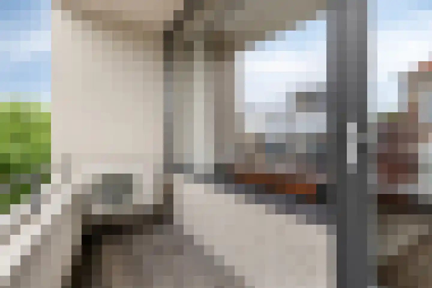 Hommelstraat 50 1 Arnhem thumbnail 48