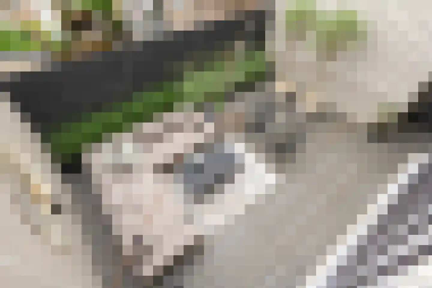 Hommelstraat 50 1 Arnhem thumbnail 54
