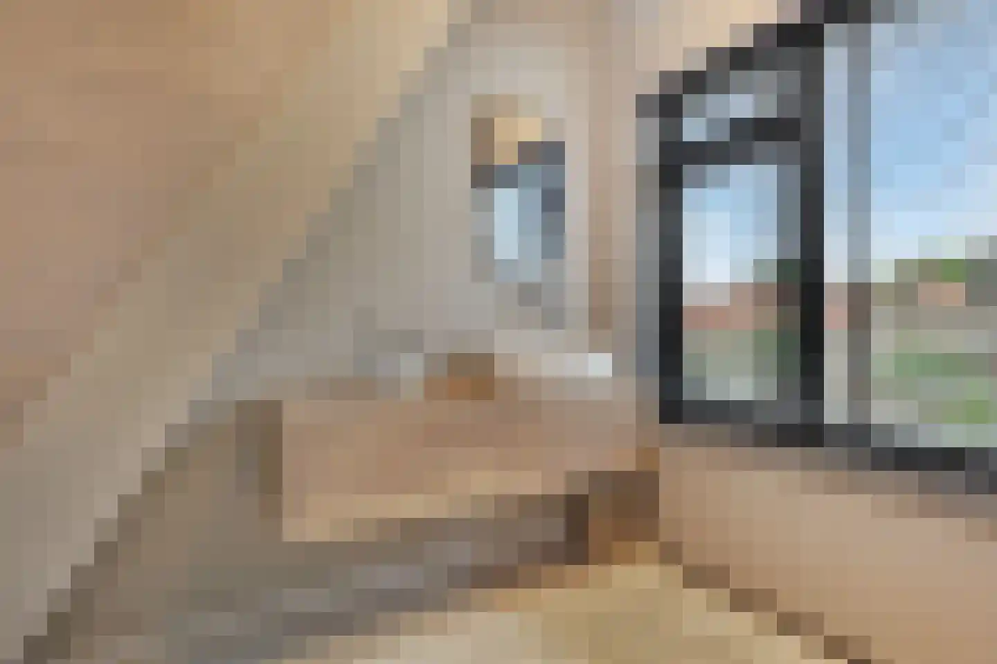 Hommelstraat 50 1 Arnhem thumbnail 58