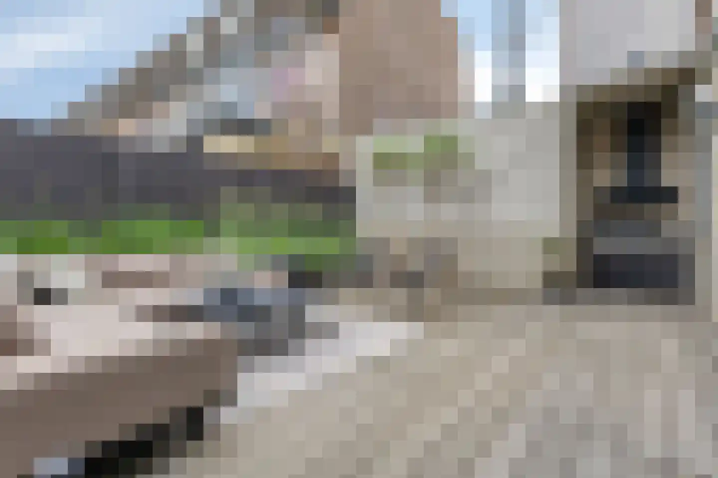 Hommelstraat 50 1 Arnhem thumbnail 72