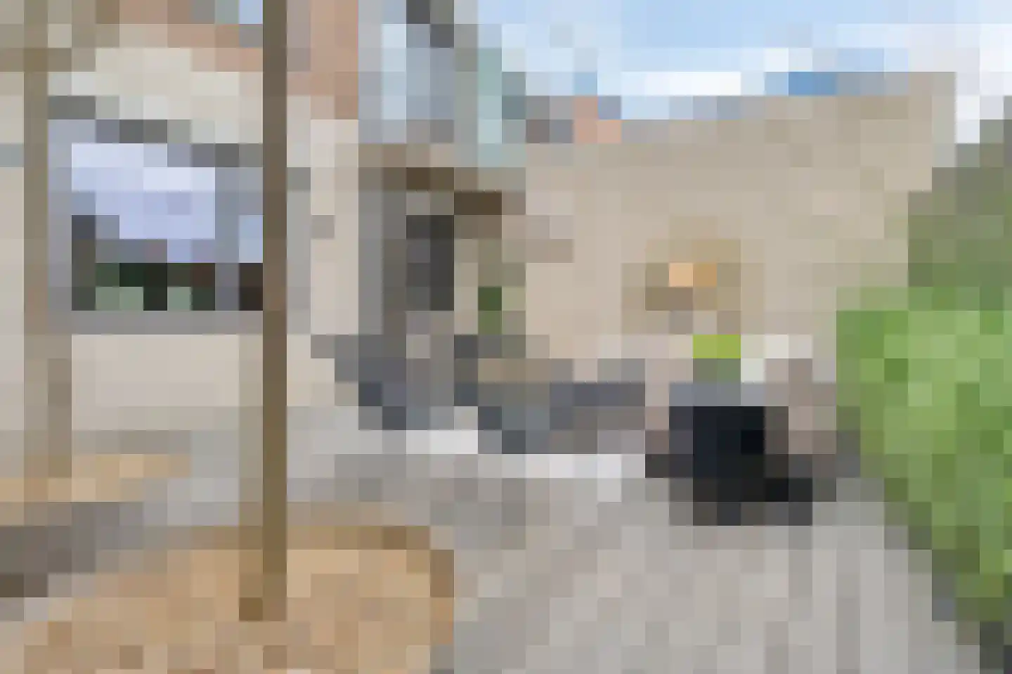 Hommelstraat 50 1 Arnhem thumbnail 75