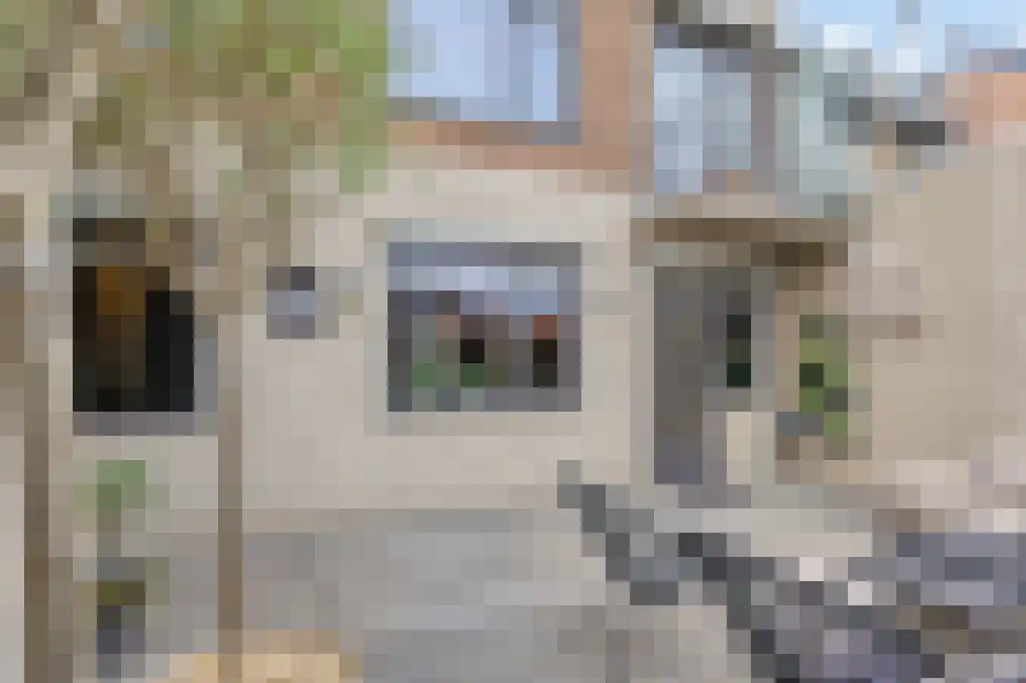 Hommelstraat 50 1 Arnhem thumbnail 76