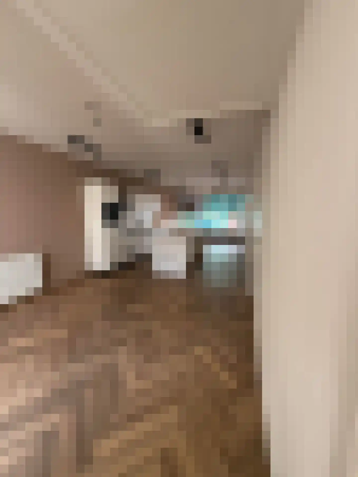 Hommelstraat 60 Arnhem thumbnail 12