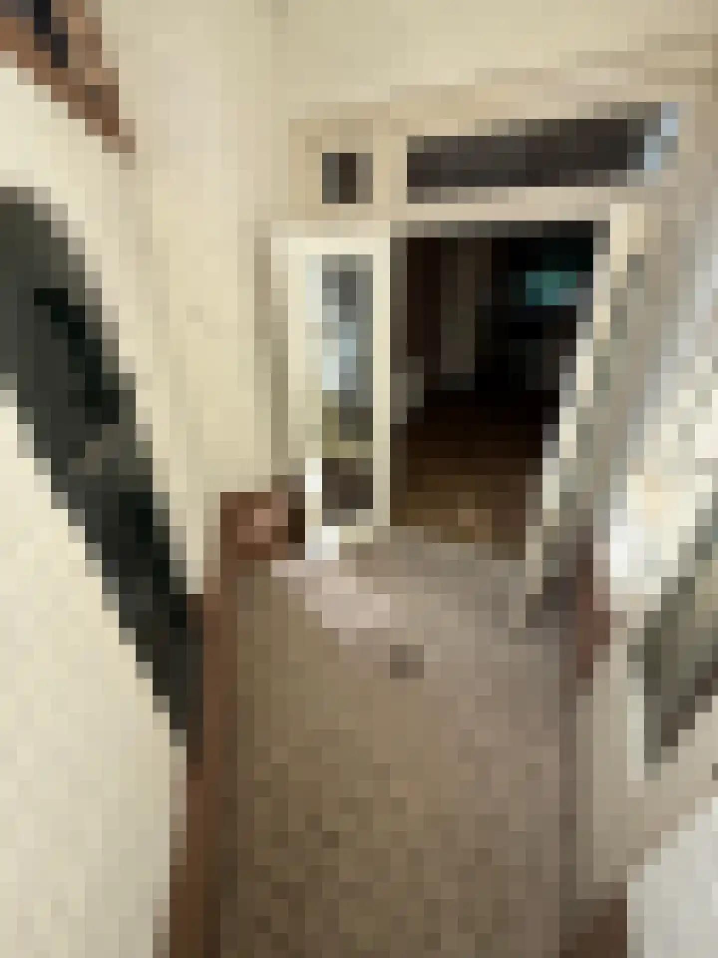 Hommelstraat 60 Arnhem thumbnail 18