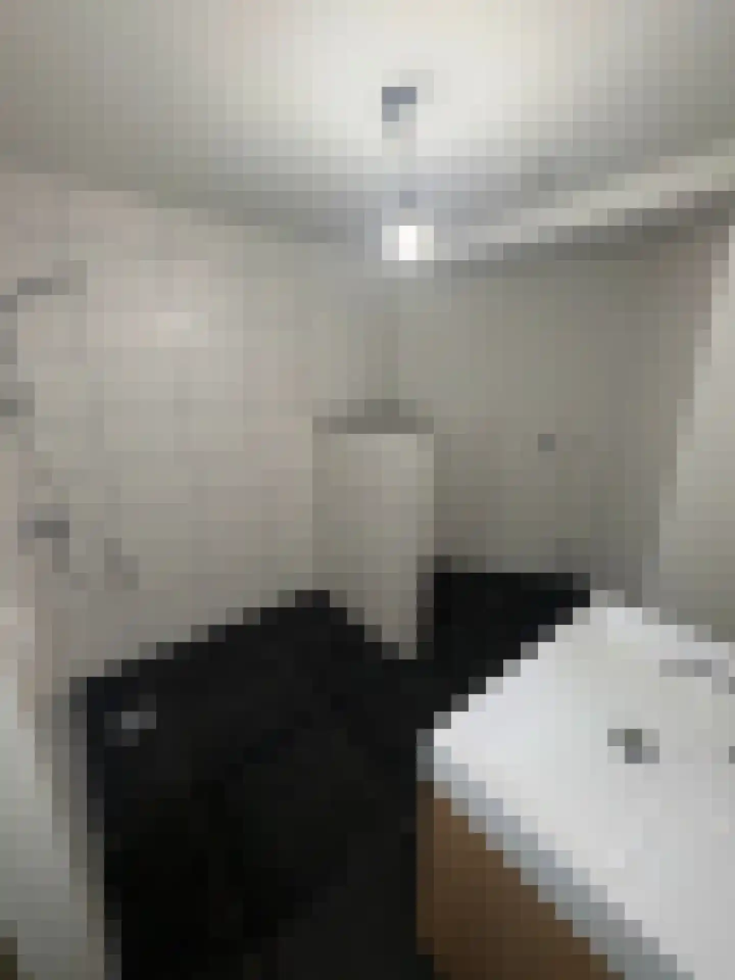 Hommelstraat 60 Arnhem thumbnail 27