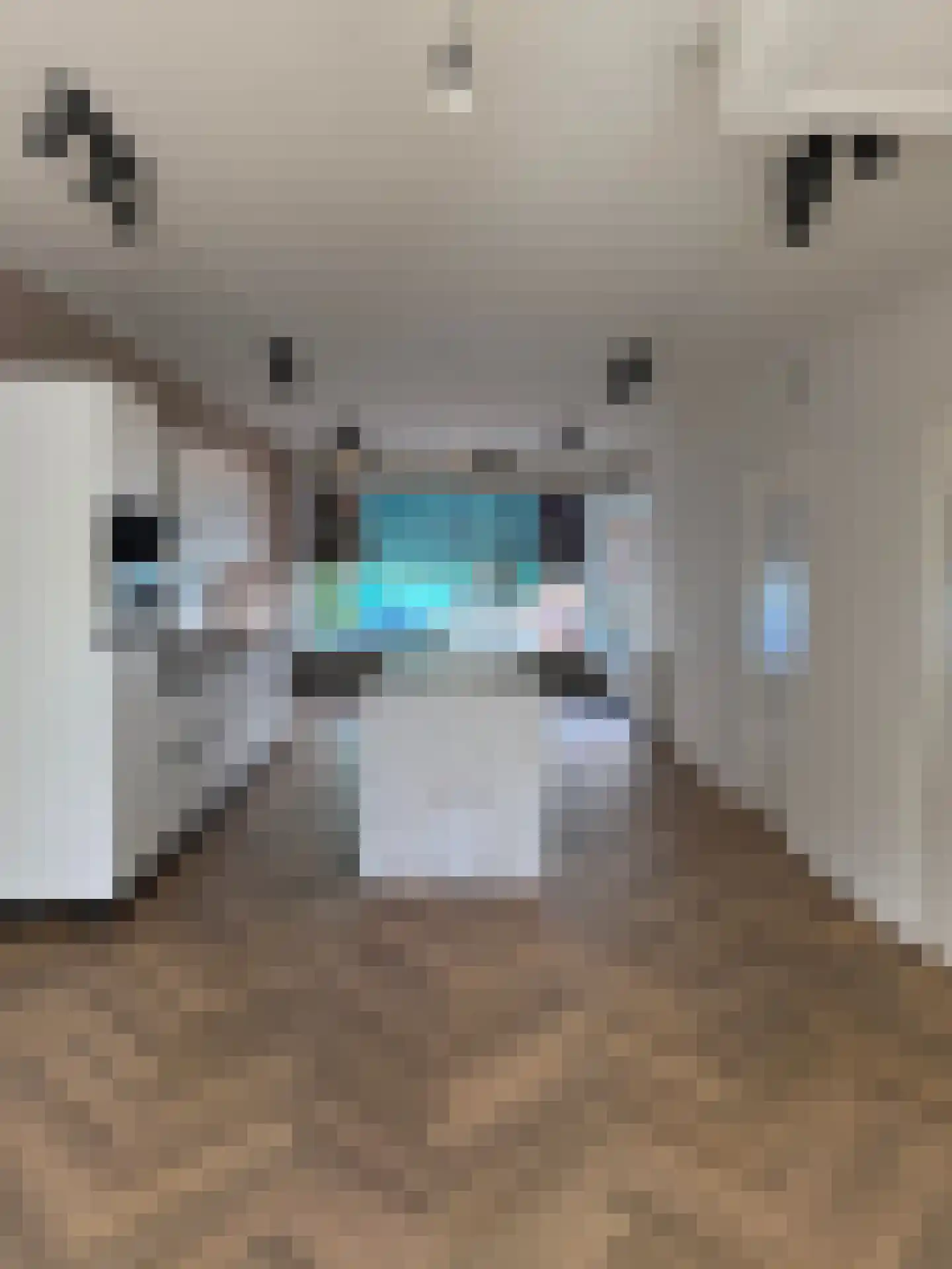 Hommelstraat 60 Arnhem thumbnail 7
