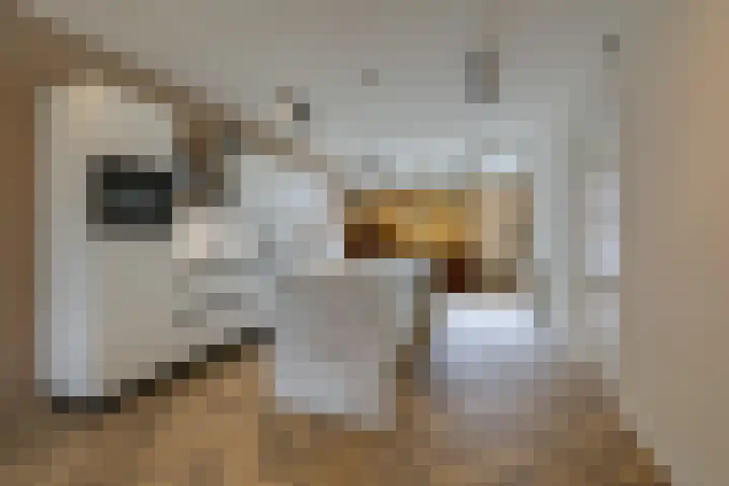 Hommelstraat 60 Arnhem thumbnail 8