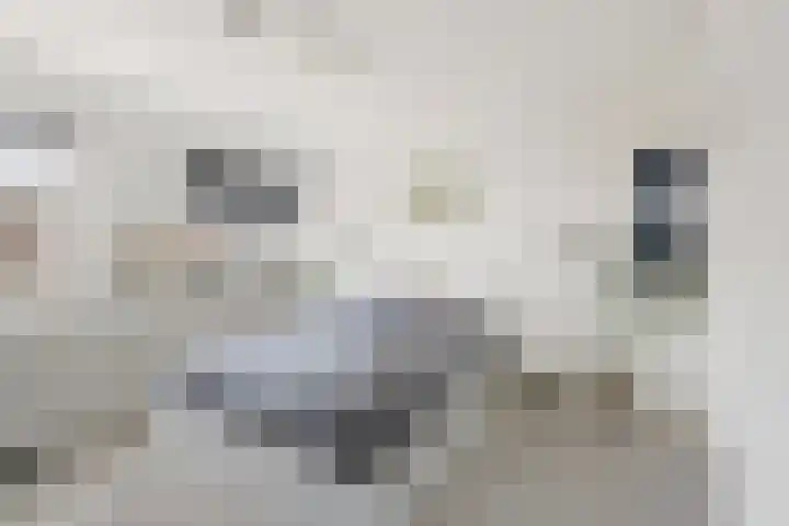 Hommelstraat 8 A Rotterdam thumbnail 10