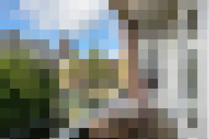 Hommelstraat 8 A Rotterdam thumbnail 17