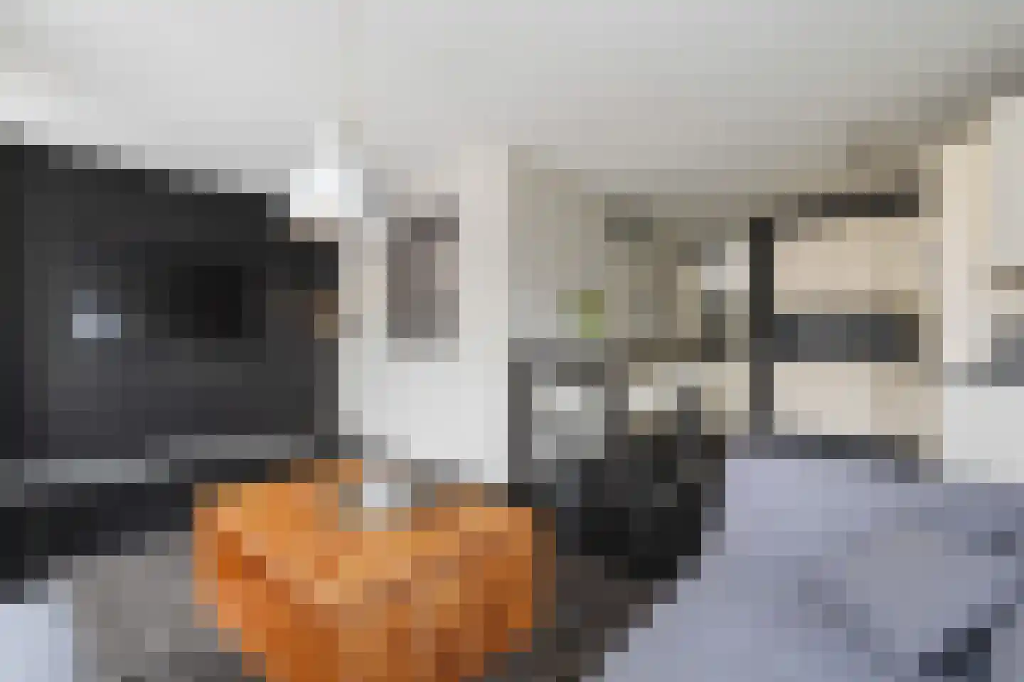 Hommelveld 73 Leiden thumbnail 14