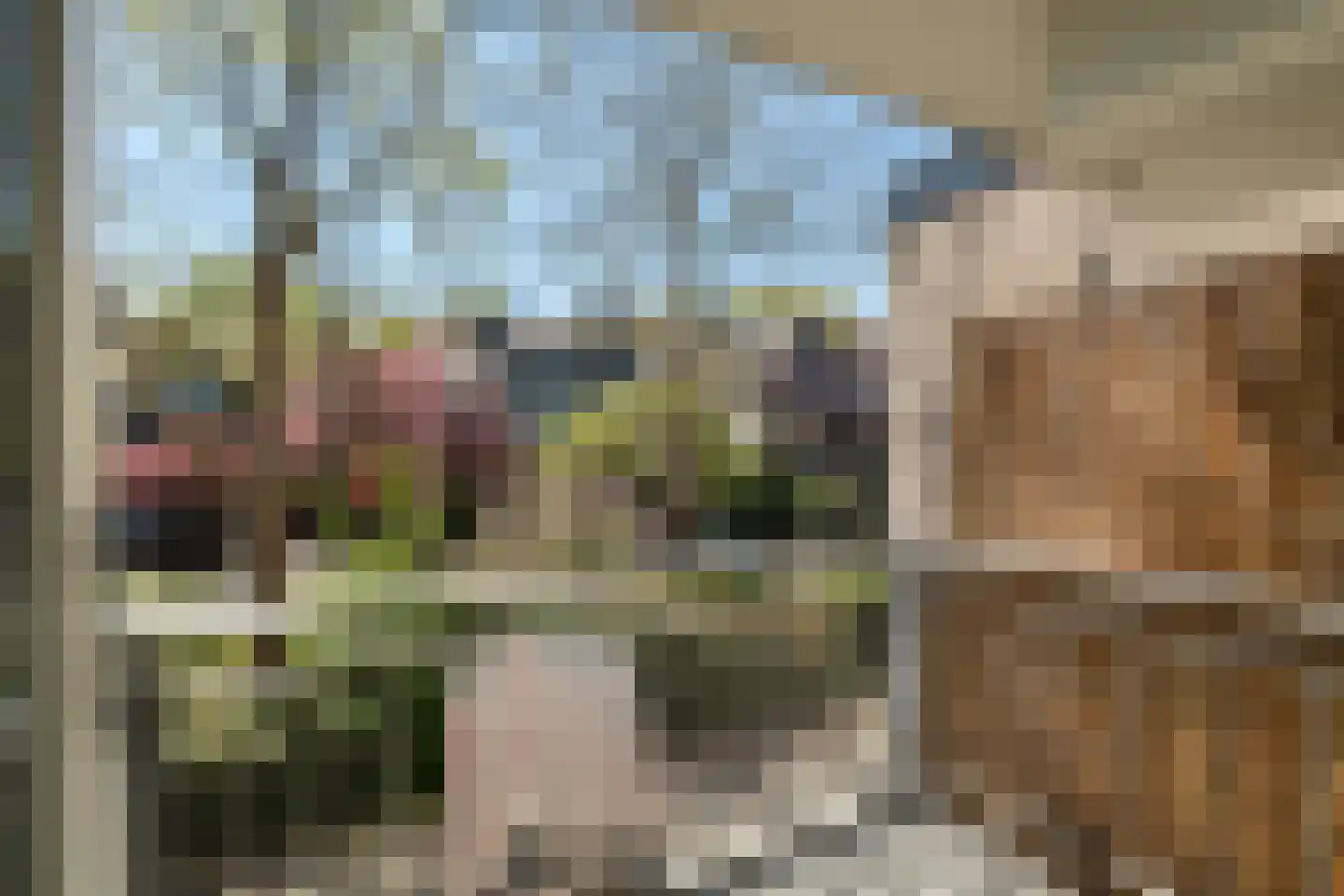 Hommelveld 73 Leiden thumbnail 17