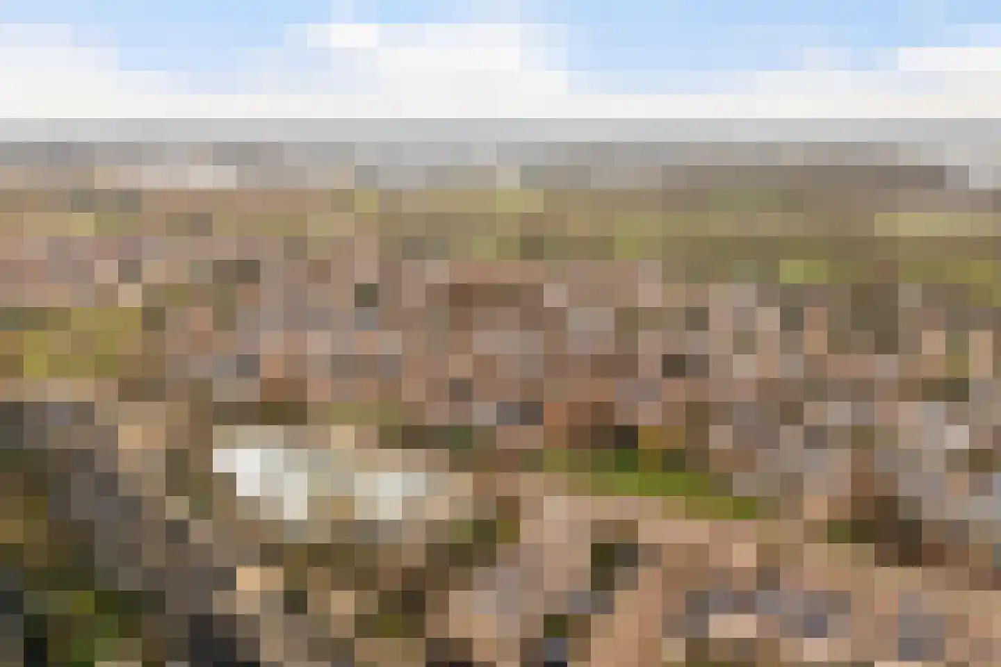 Hommelveld 73 Leiden thumbnail 32