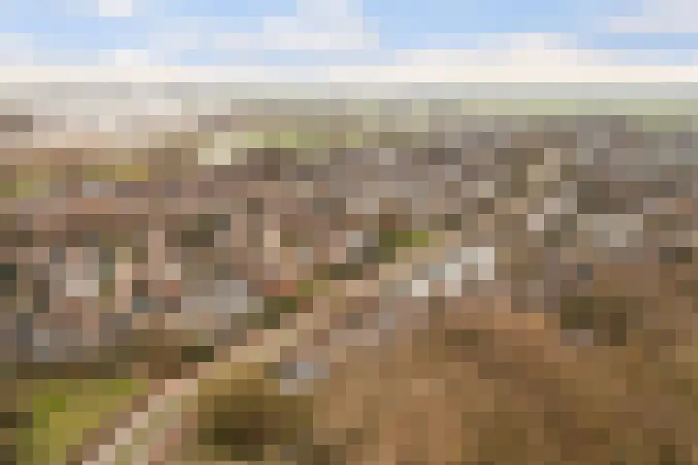 Hommelveld 73 Leiden thumbnail 33