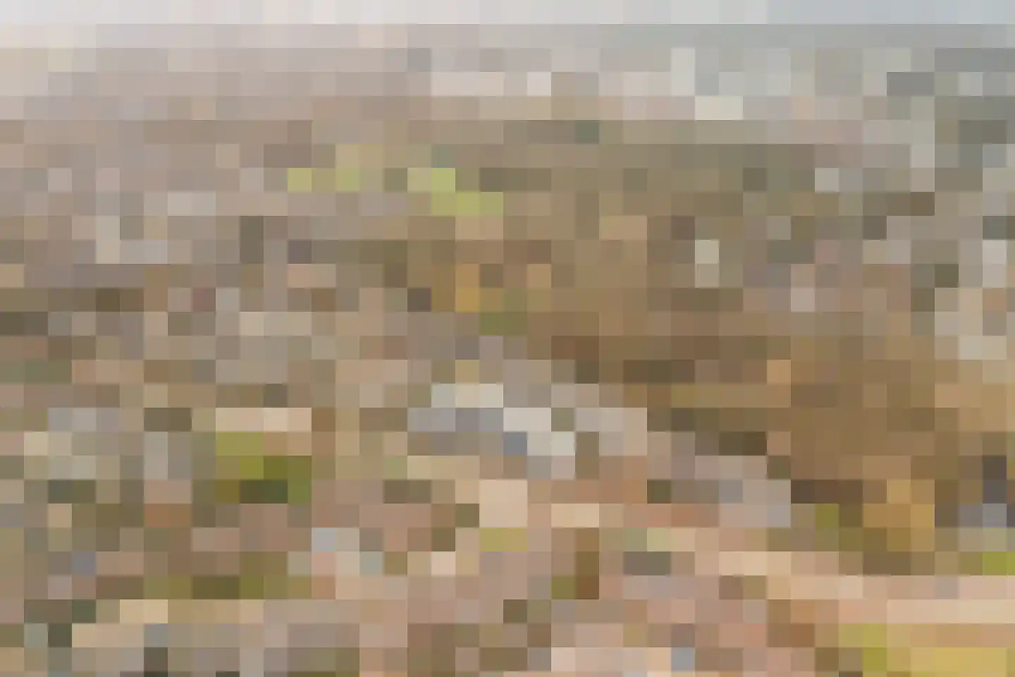 Hommelveld 73 Leiden thumbnail 34