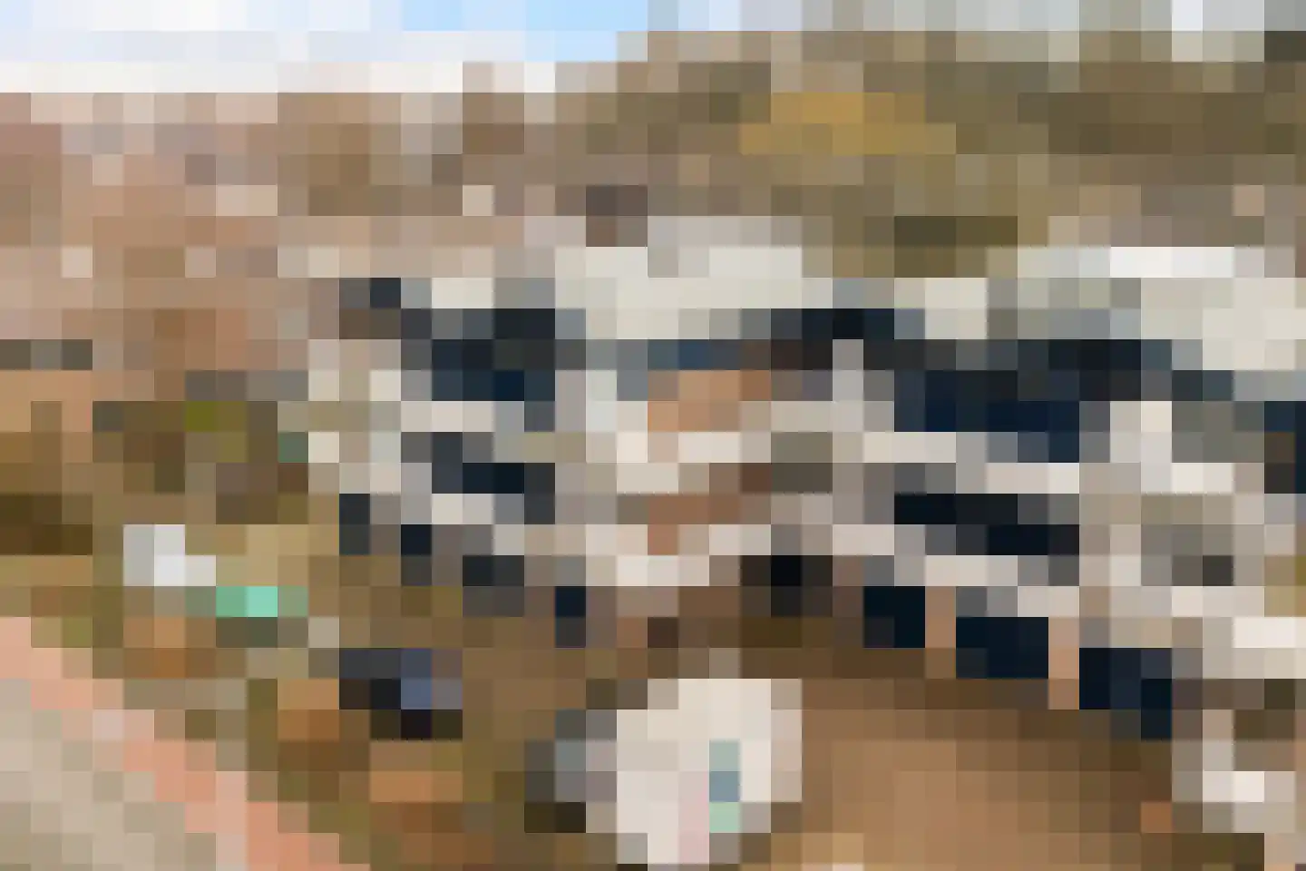 Hommelveld 73 Leiden thumbnail 36