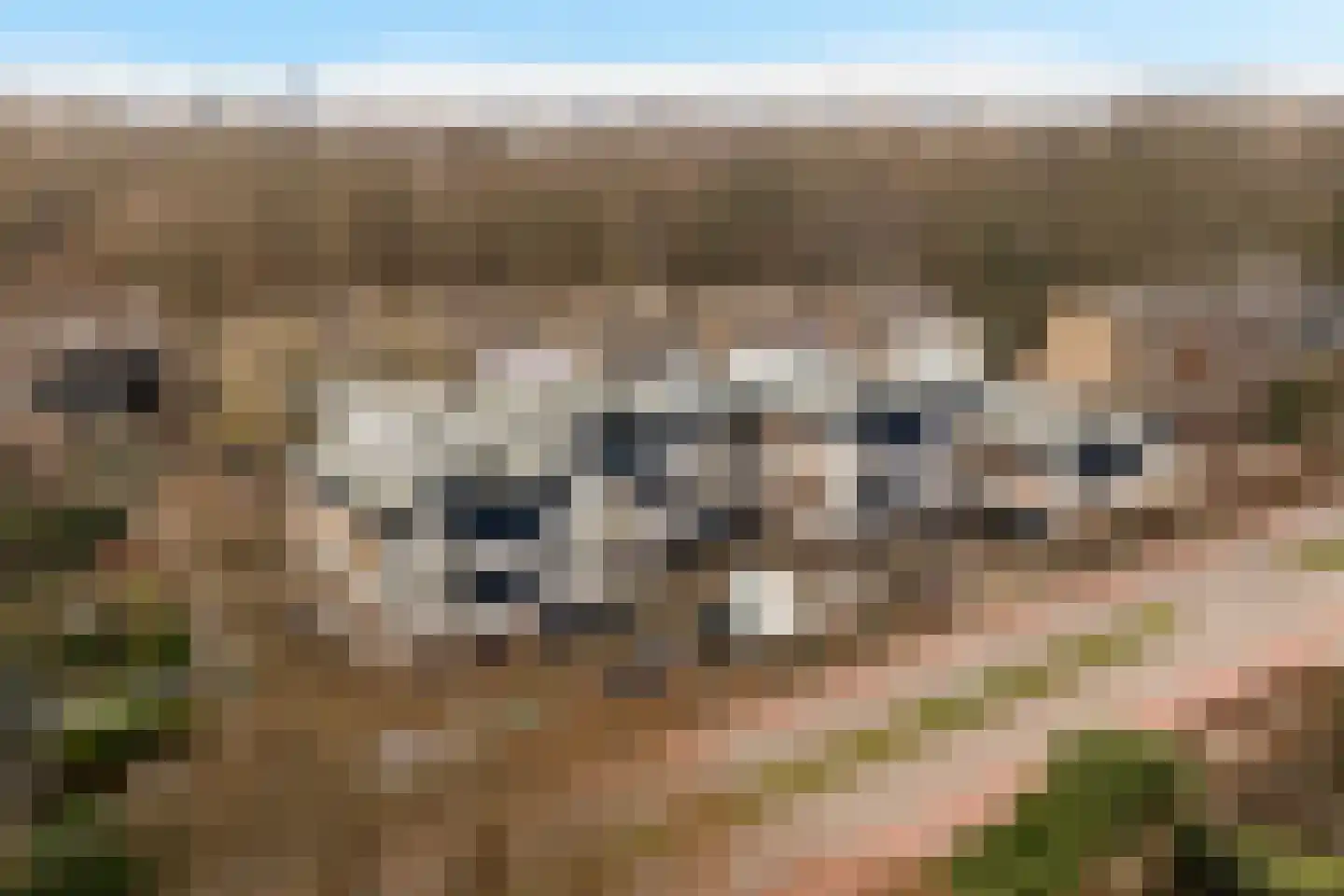 Hommelveld 73 Leiden thumbnail 37