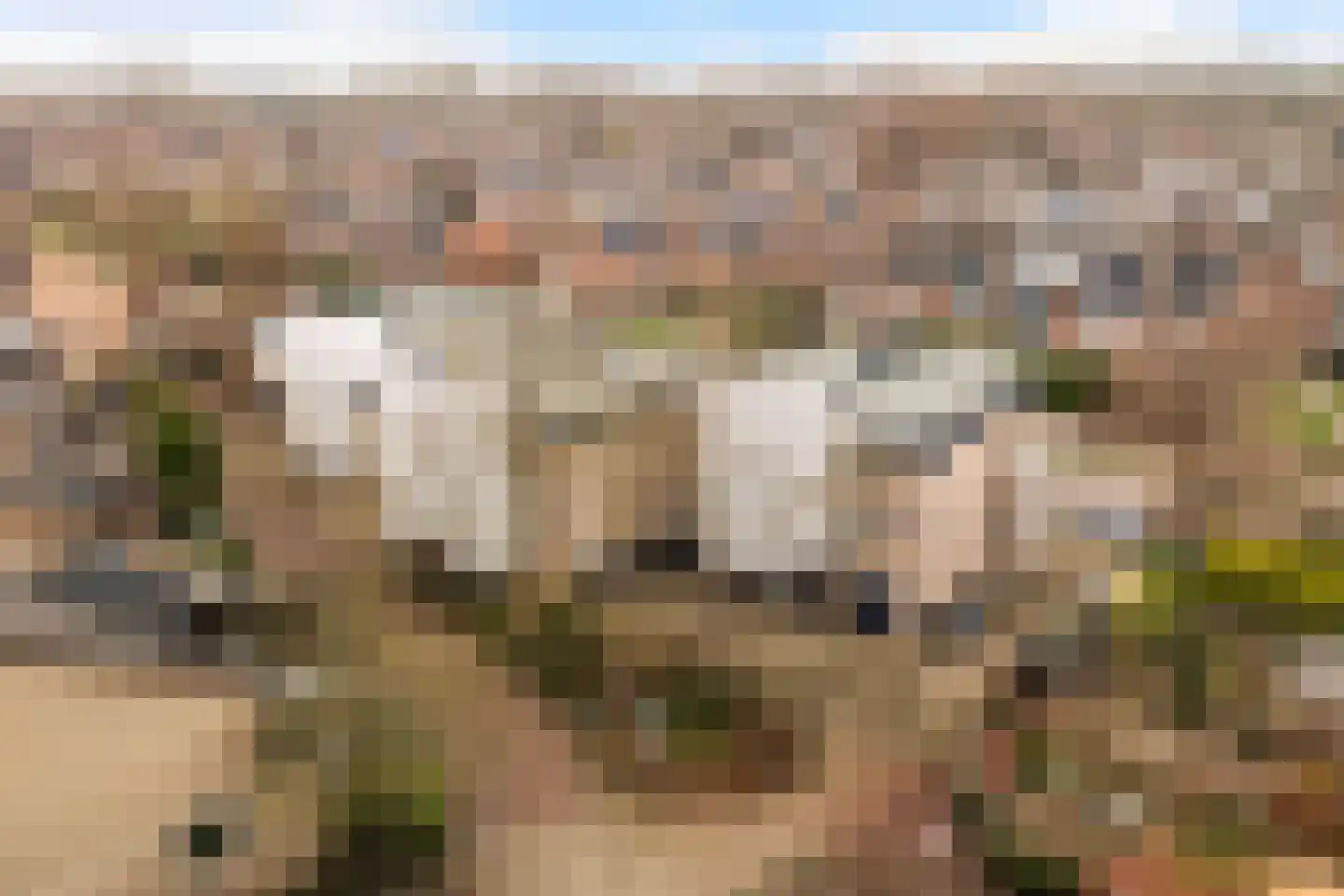 Hommelveld 73 Leiden thumbnail 38
