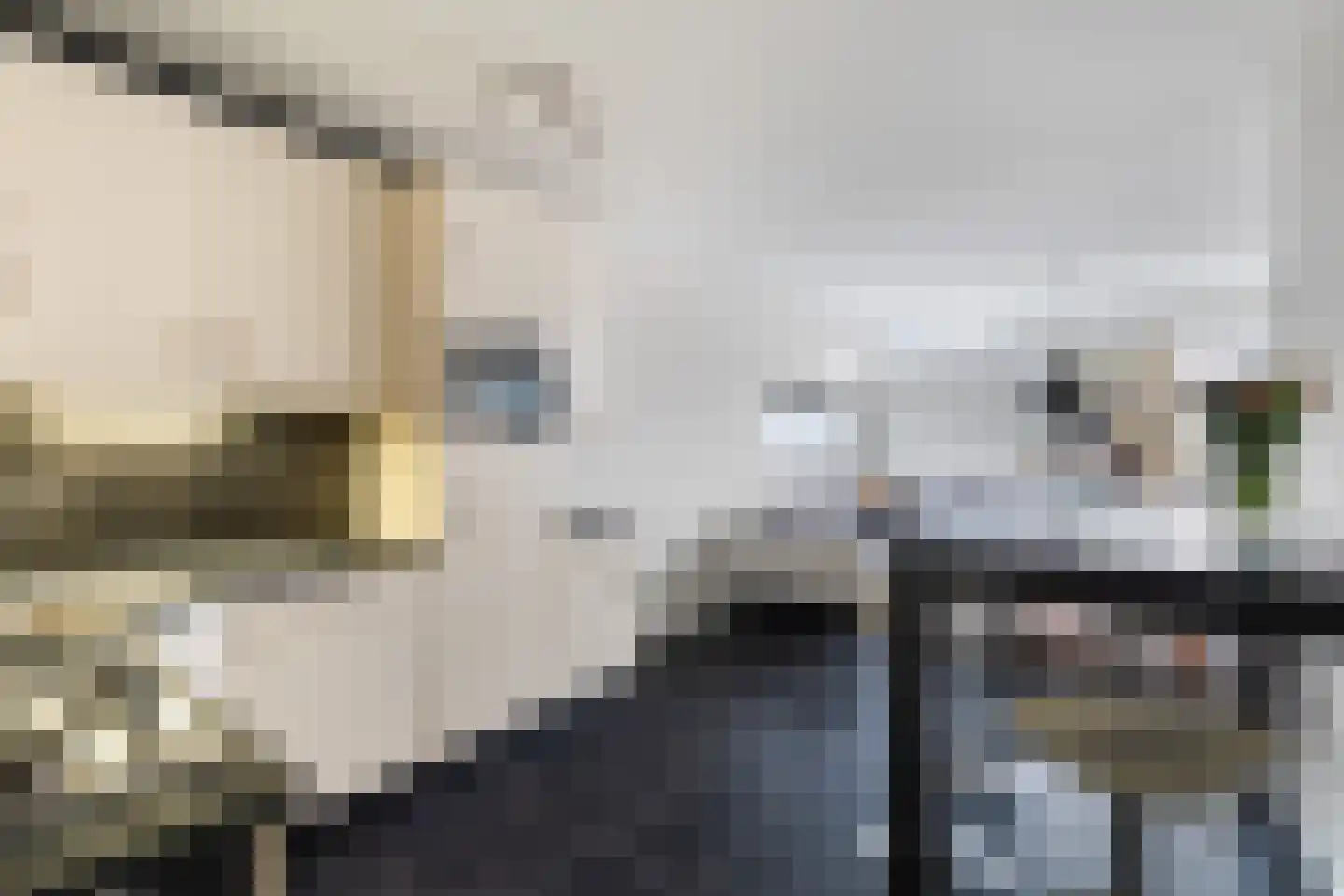 Hommelveld 73 Leiden thumbnail 6