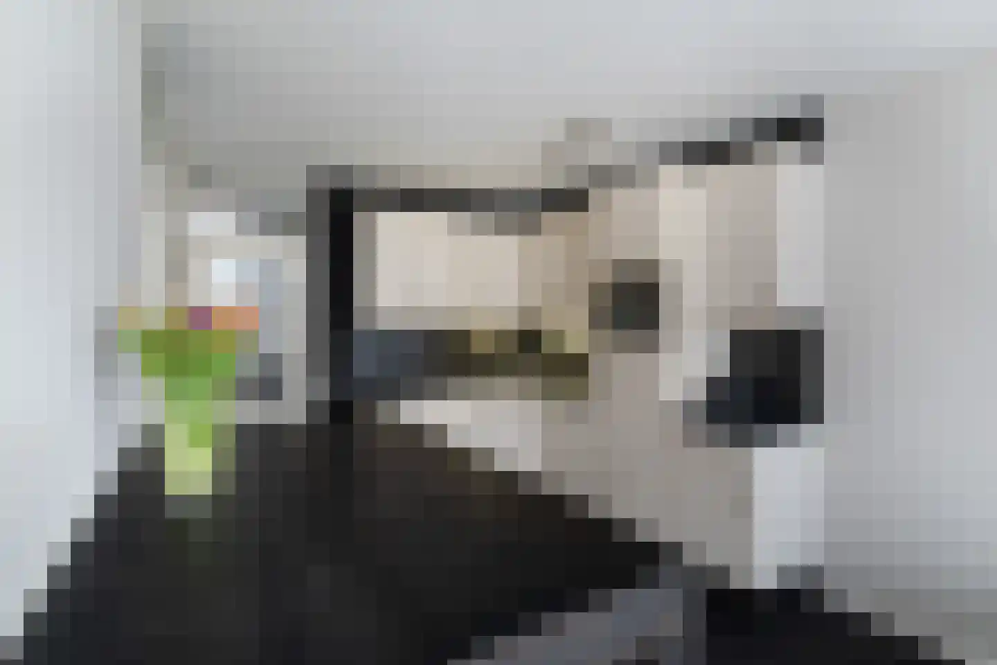 Hommelveld 73 Leiden thumbnail 8