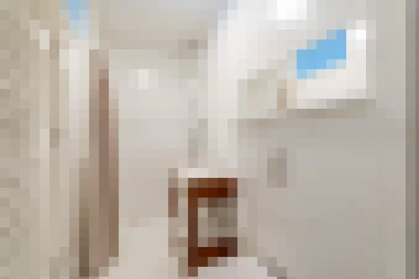 Hommelveld 77 Leiden thumbnail 36