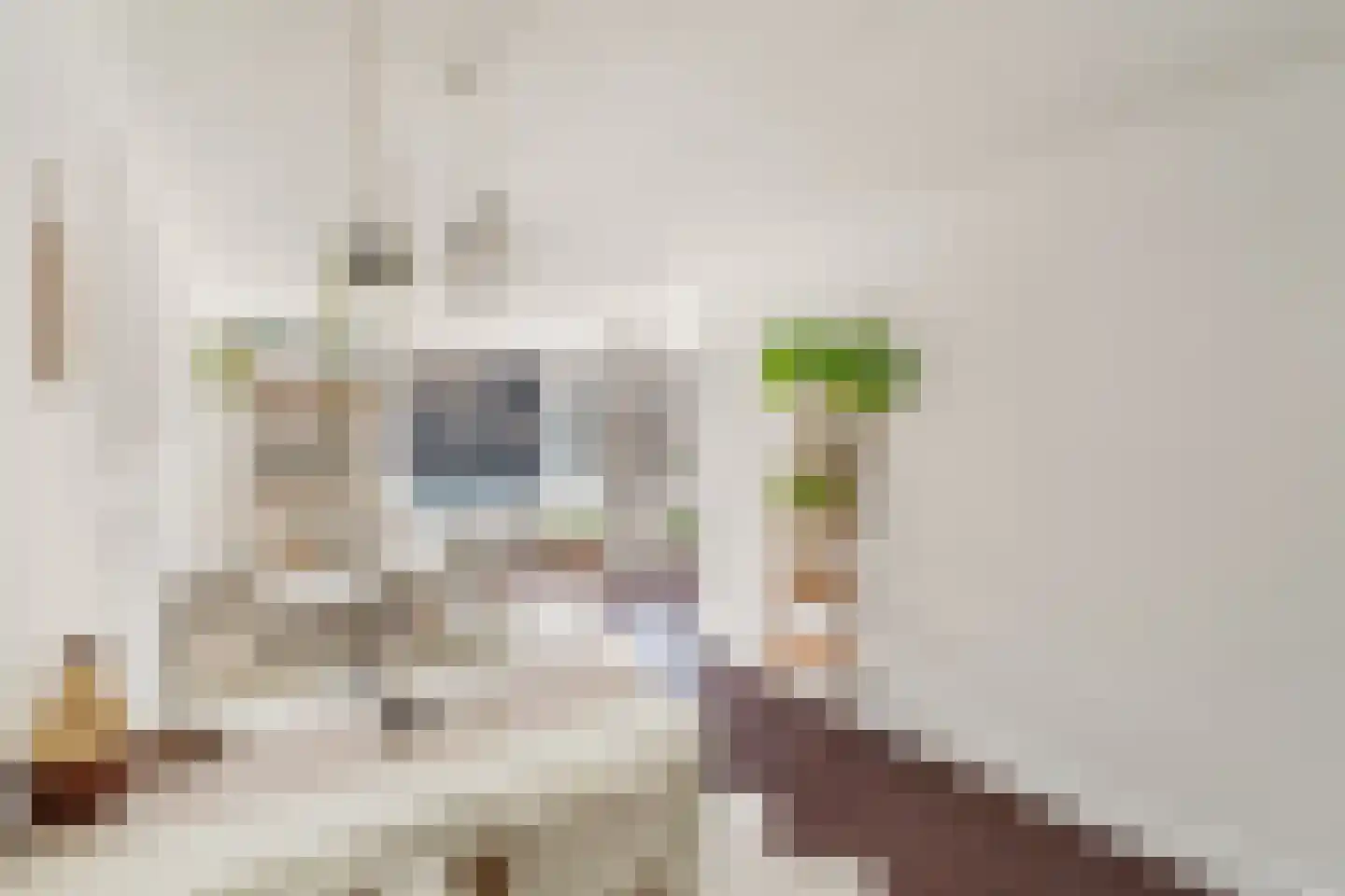 Hommelveld 77 Leiden thumbnail 6