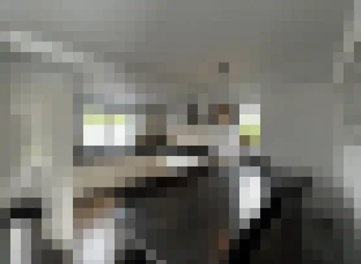 Hommelweg 1 A Susteren thumbnail 11