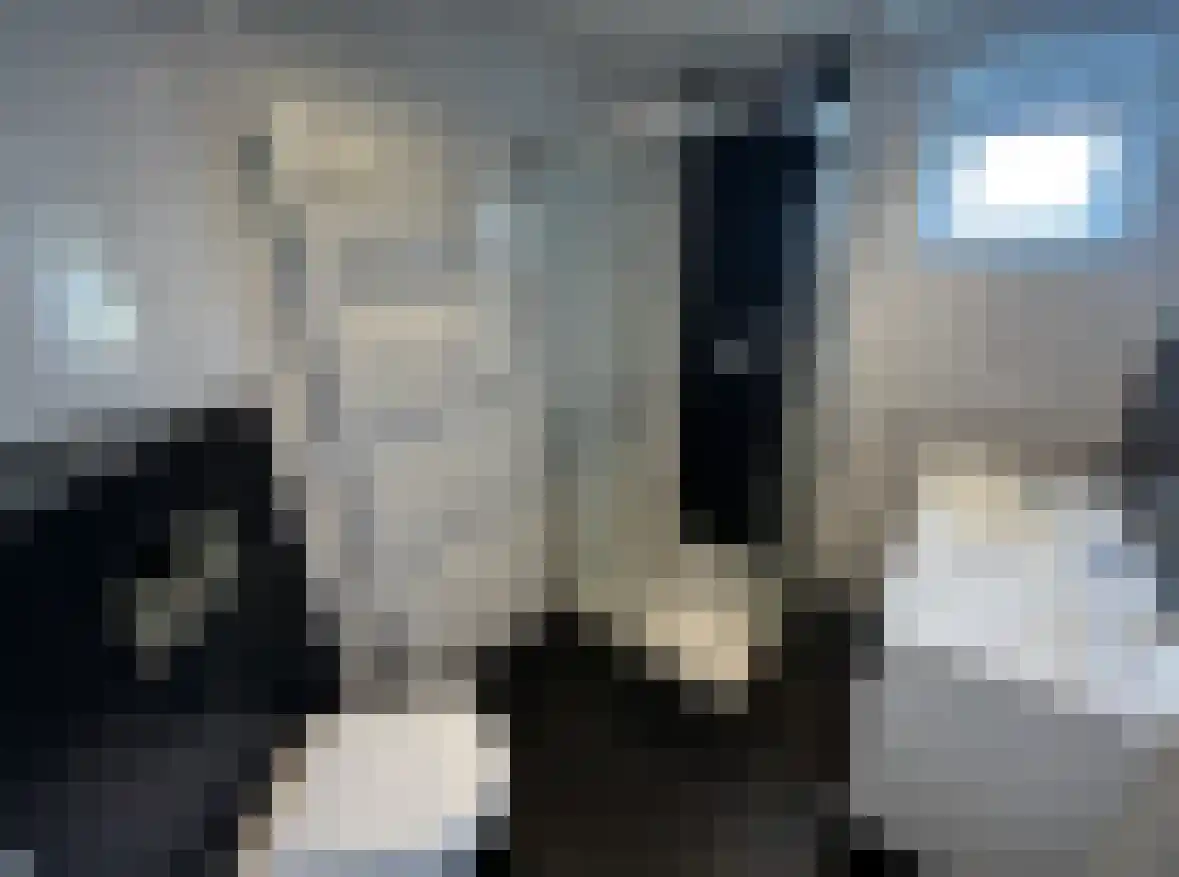 Hommelweg 1 A Susteren thumbnail 12