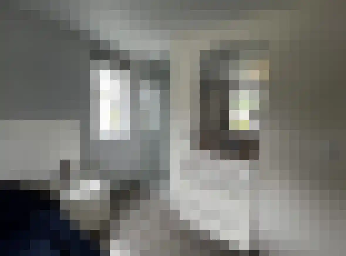 Hommelweg 1 A Susteren thumbnail 19