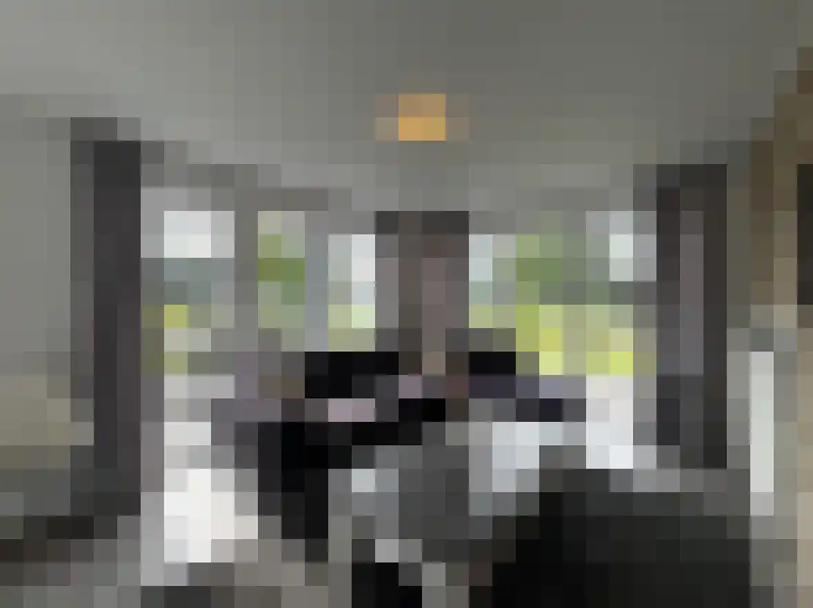 Hommelweg 1 A Susteren thumbnail 5