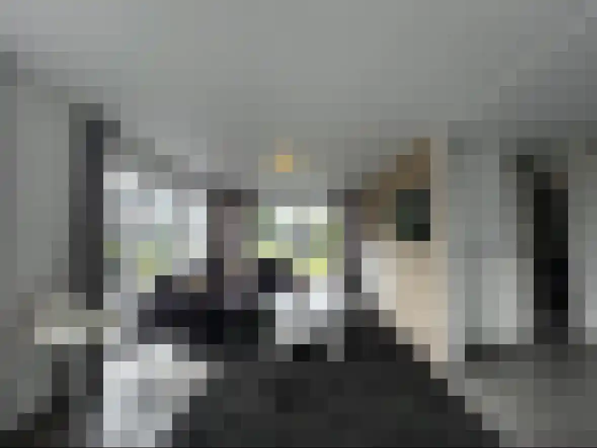 Hommelweg 1 A Susteren thumbnail 6