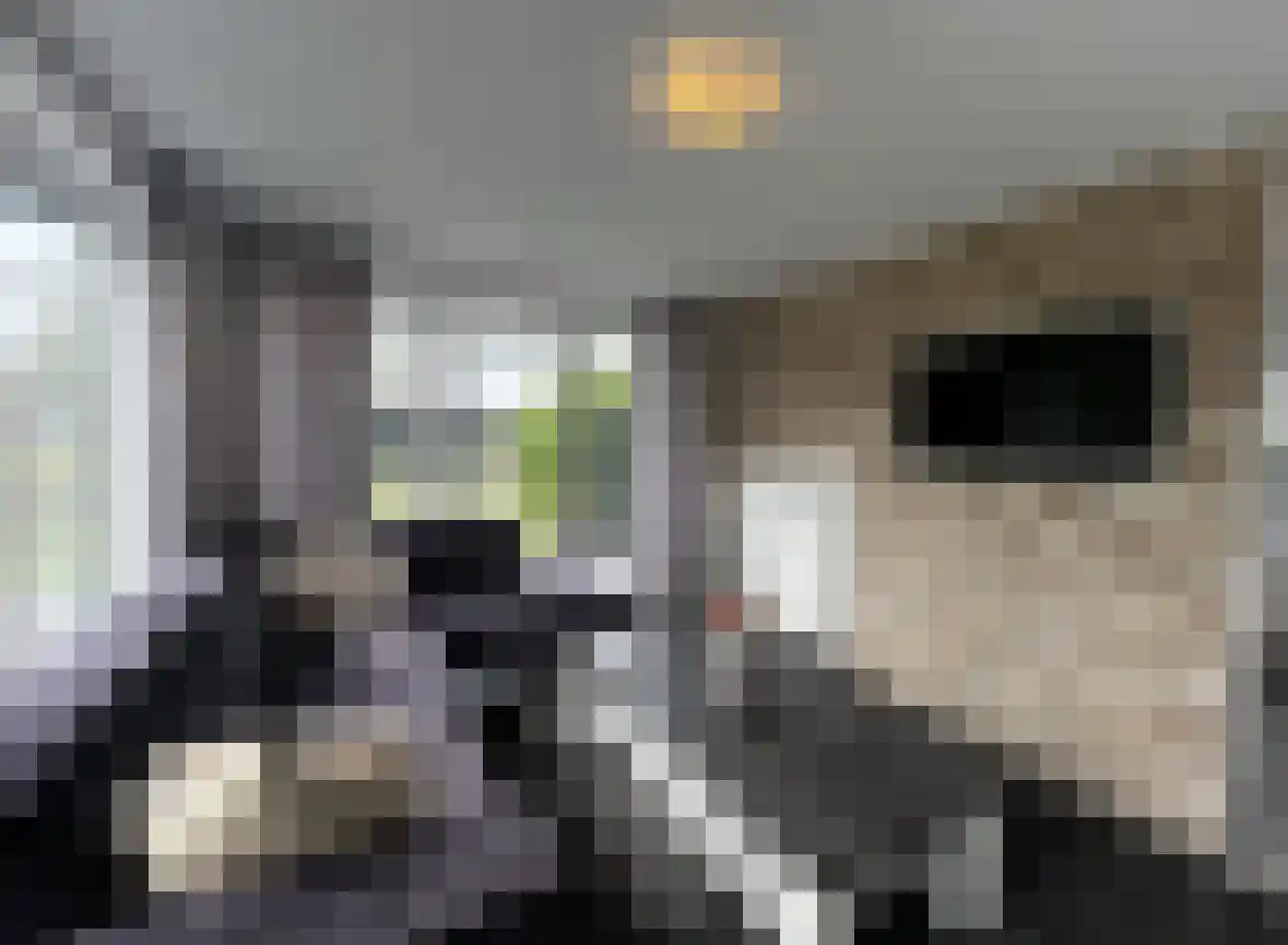 Hommelweg 1 A Susteren thumbnail 7
